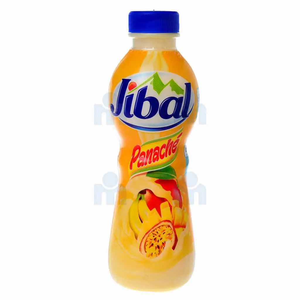 Yaourt à boire panaché 380g - JIBAL