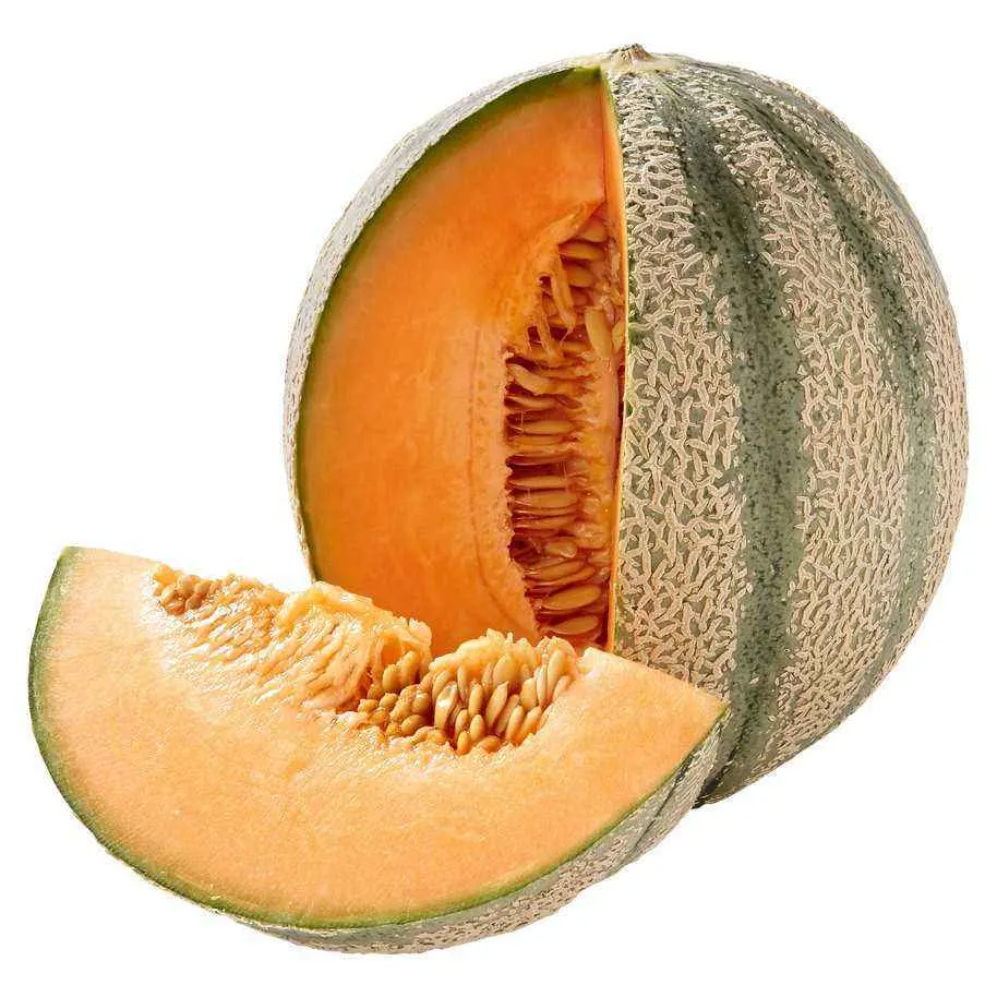 Melon cantaloup environ 1,2Kg