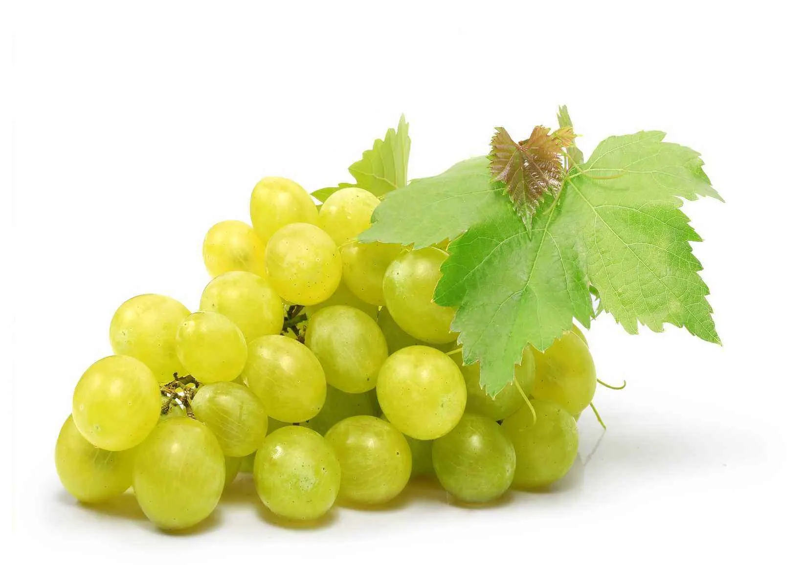 Raisin blanc 1Kg