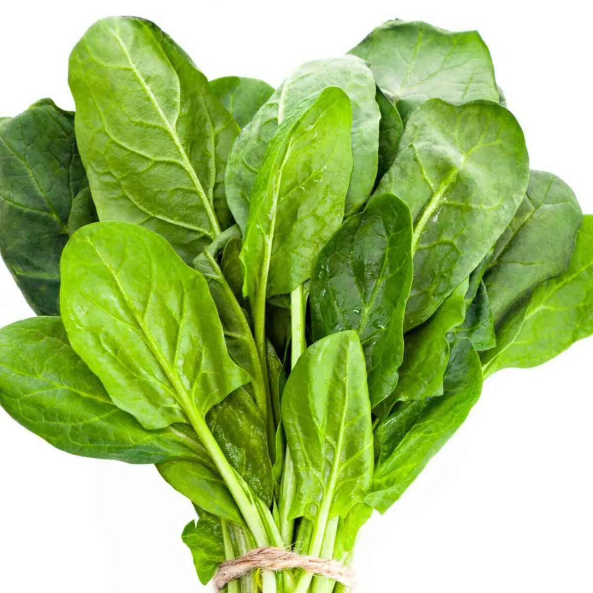 Epinard 500g