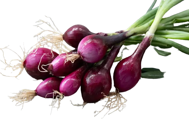 Oignons frais rouge 1Kg
