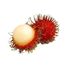 Rambutan 100g
