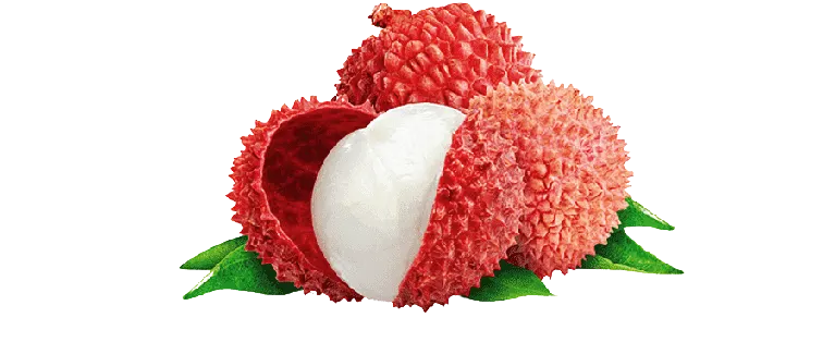 Litchies 100g