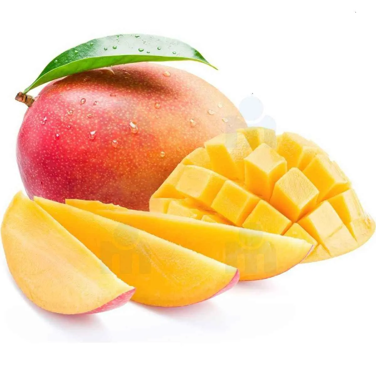 Mangue à la pièce - vue 2