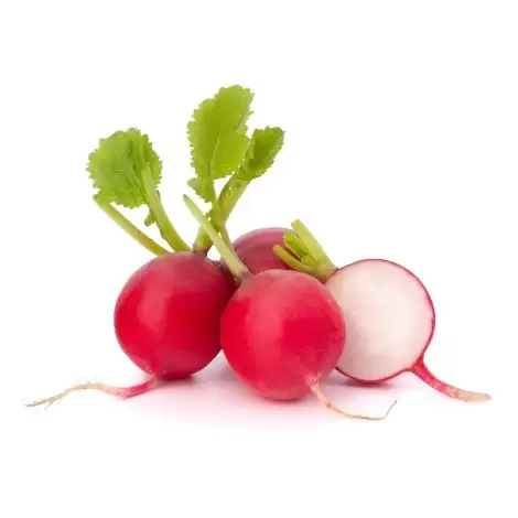 Radis rouge 500g
