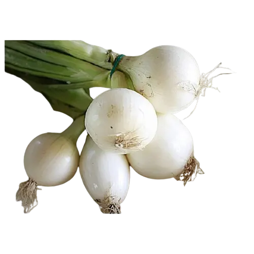 Oignons frais blanc 1Kg - vue 2