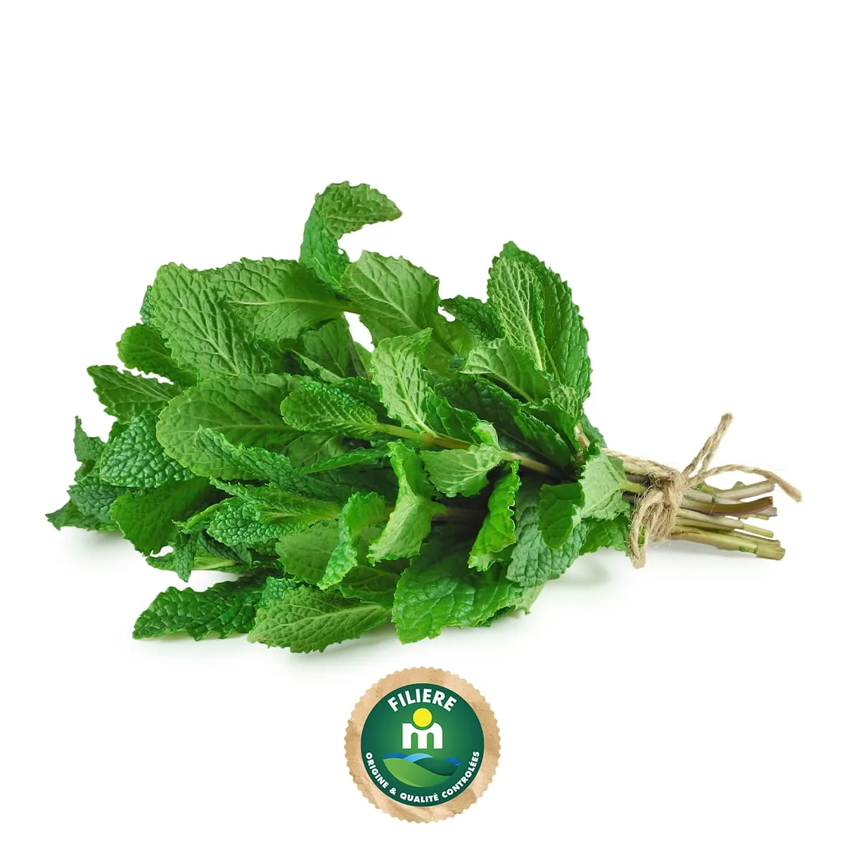 Menthe en sachet - FILIERE M - vue 2