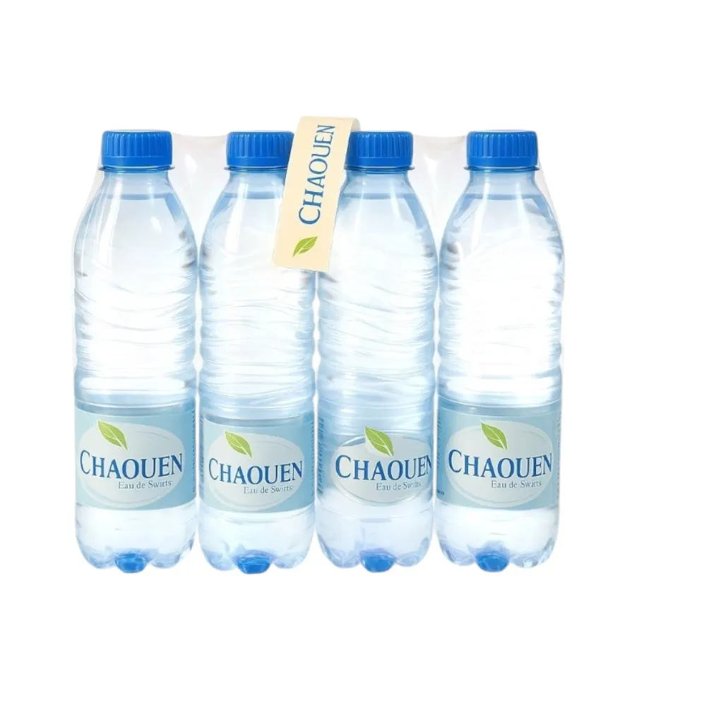 Chaouen eau de source 12x50cl
