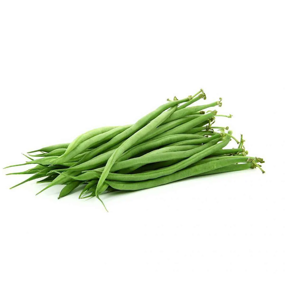 Haricot vert 500g -  FILIERE M