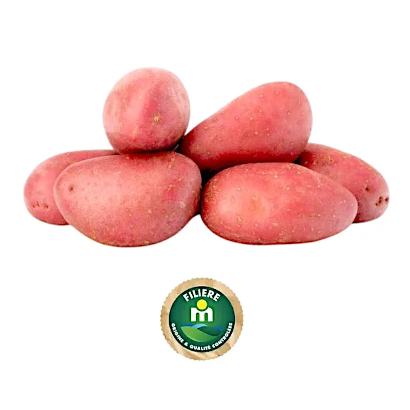 Pomme de terre rouge lavée 1Kg - FILIERE M - vue 2