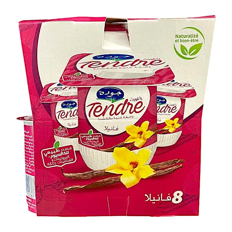 Yaourt saveur vanille Tendre 8x110g - JAOUDA