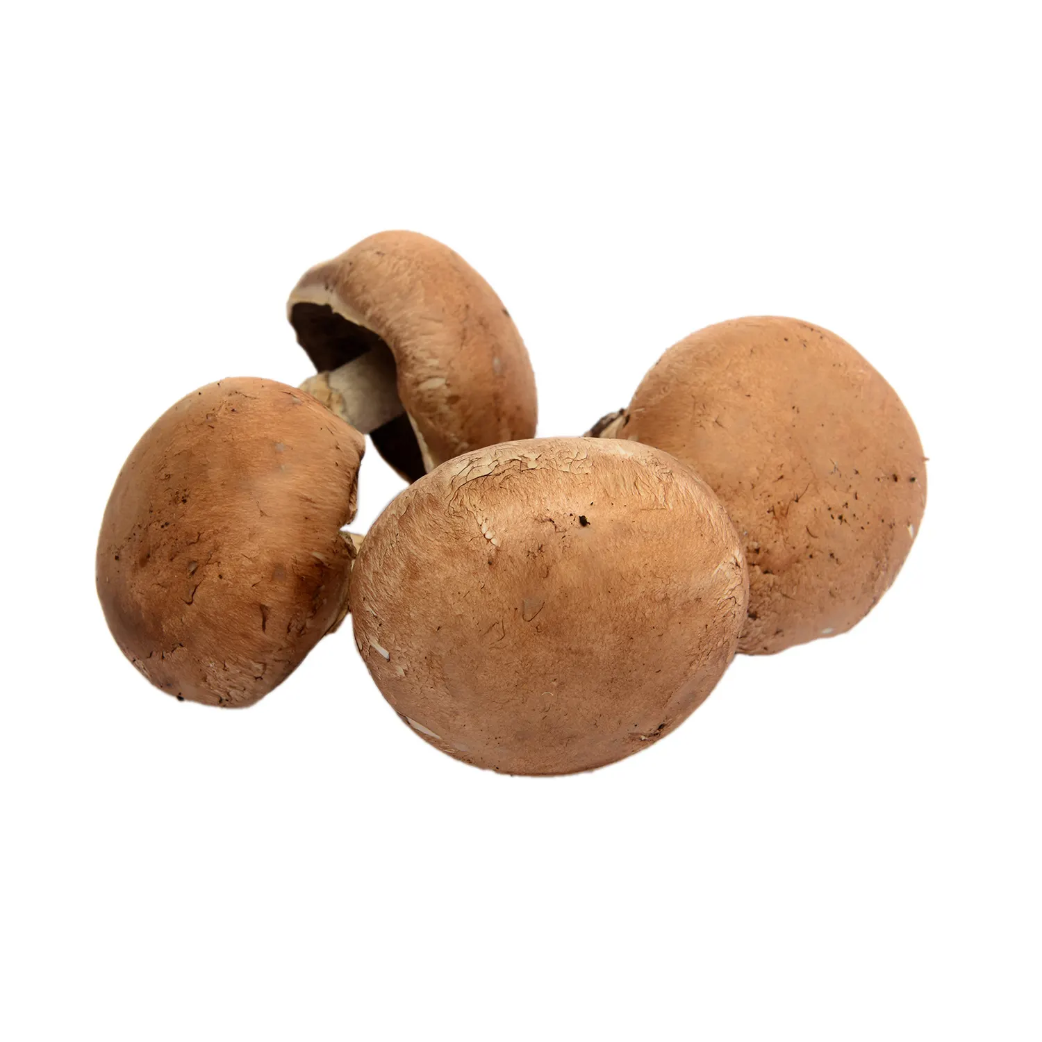 Champignon Portobello 200g