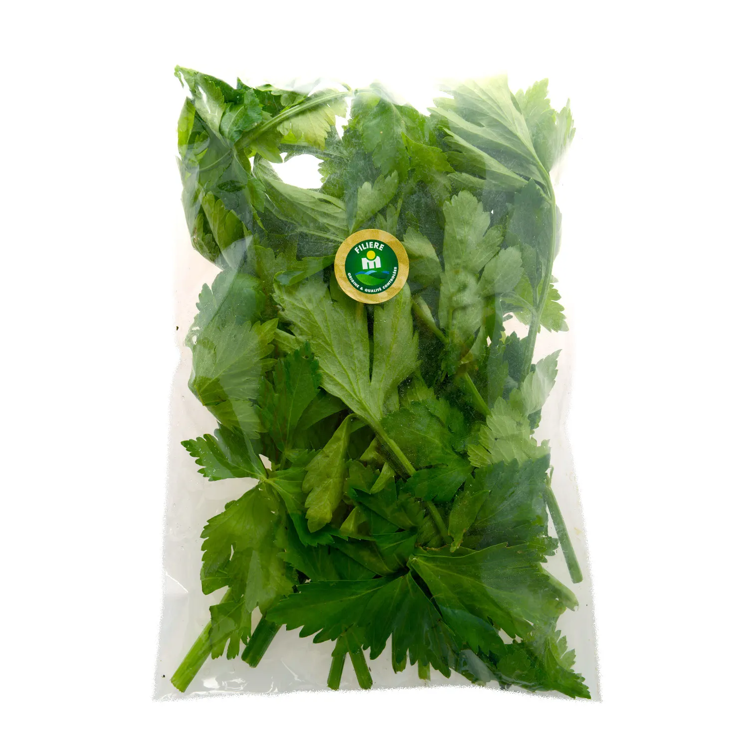 Céleri en sachet de 110g - FILIERE M