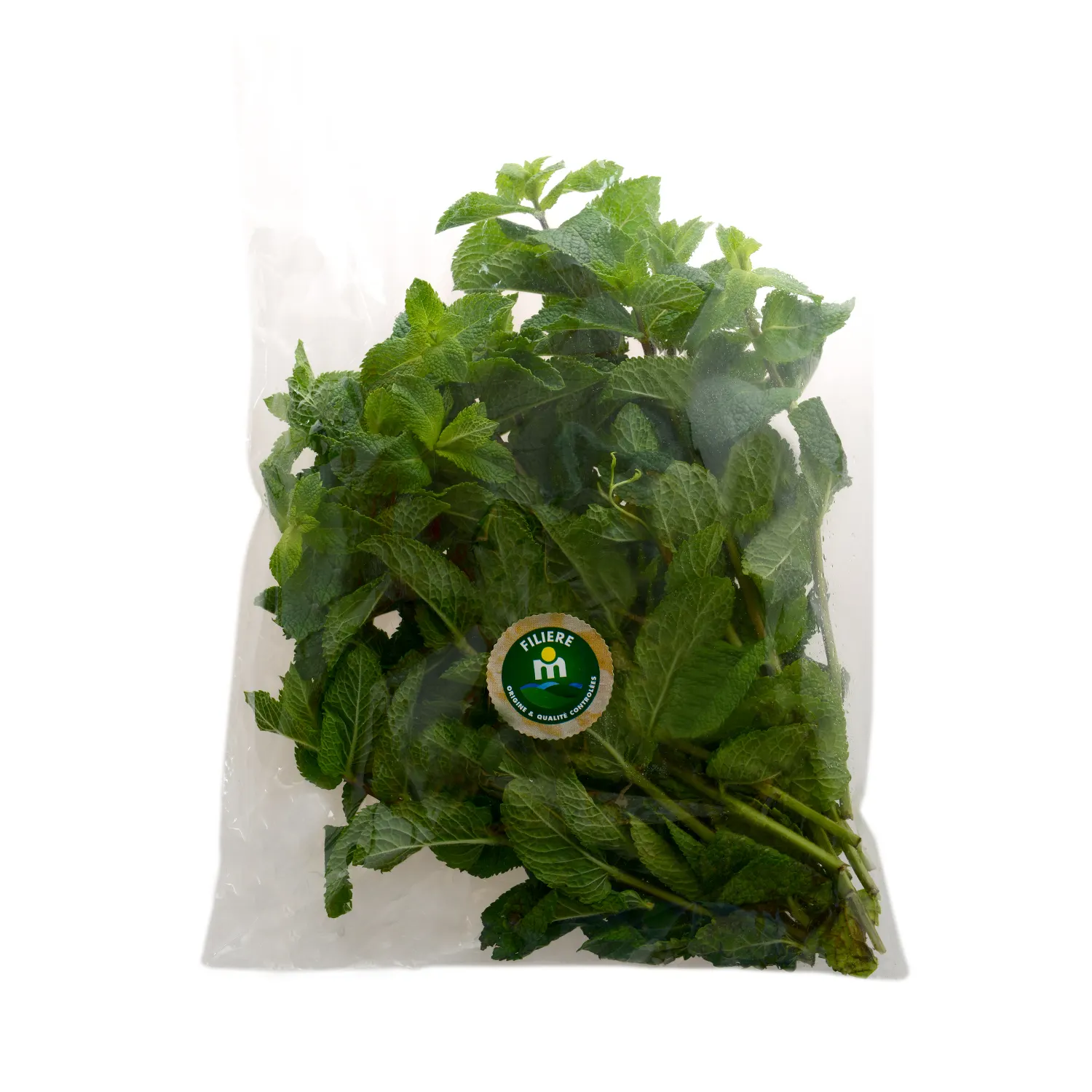 Menthe en sachet - FILIERE M