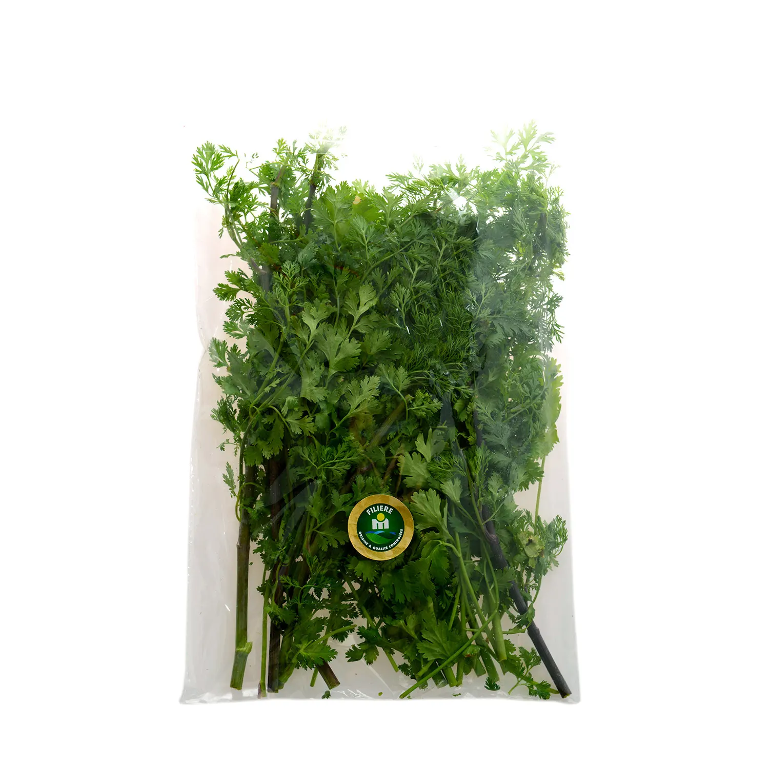 Persil en sachet - FILIERE M