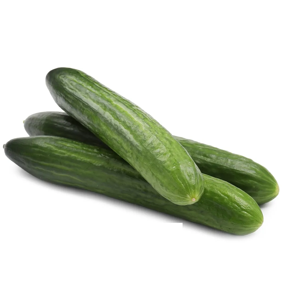 Concombre court 1Kg - FILIERE M
