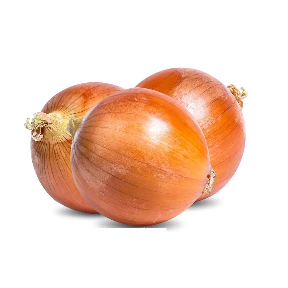 Oignon blanc 1Kg - FILIERE M