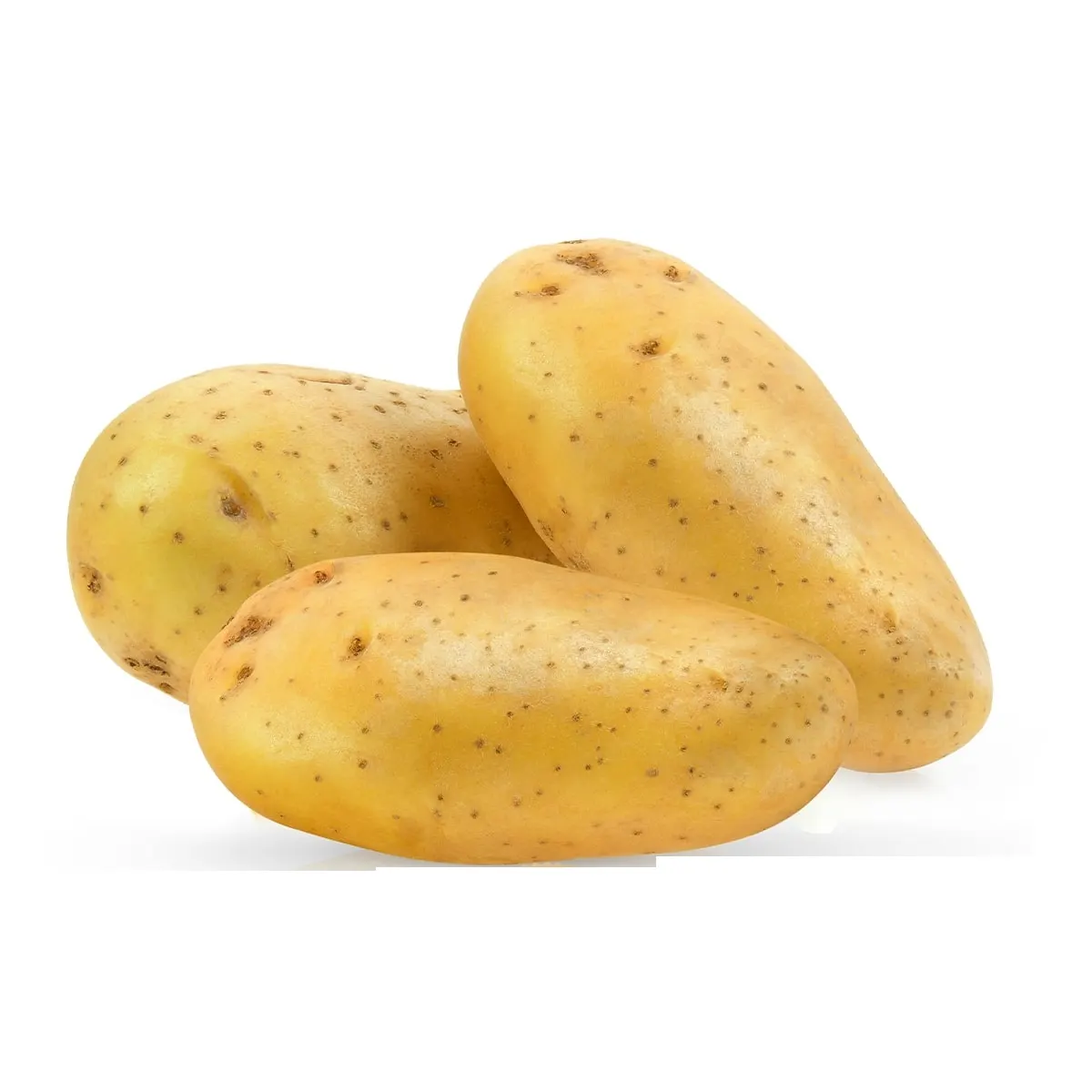 Pomme de terre blanche lavée 1Kg - FILIERE M