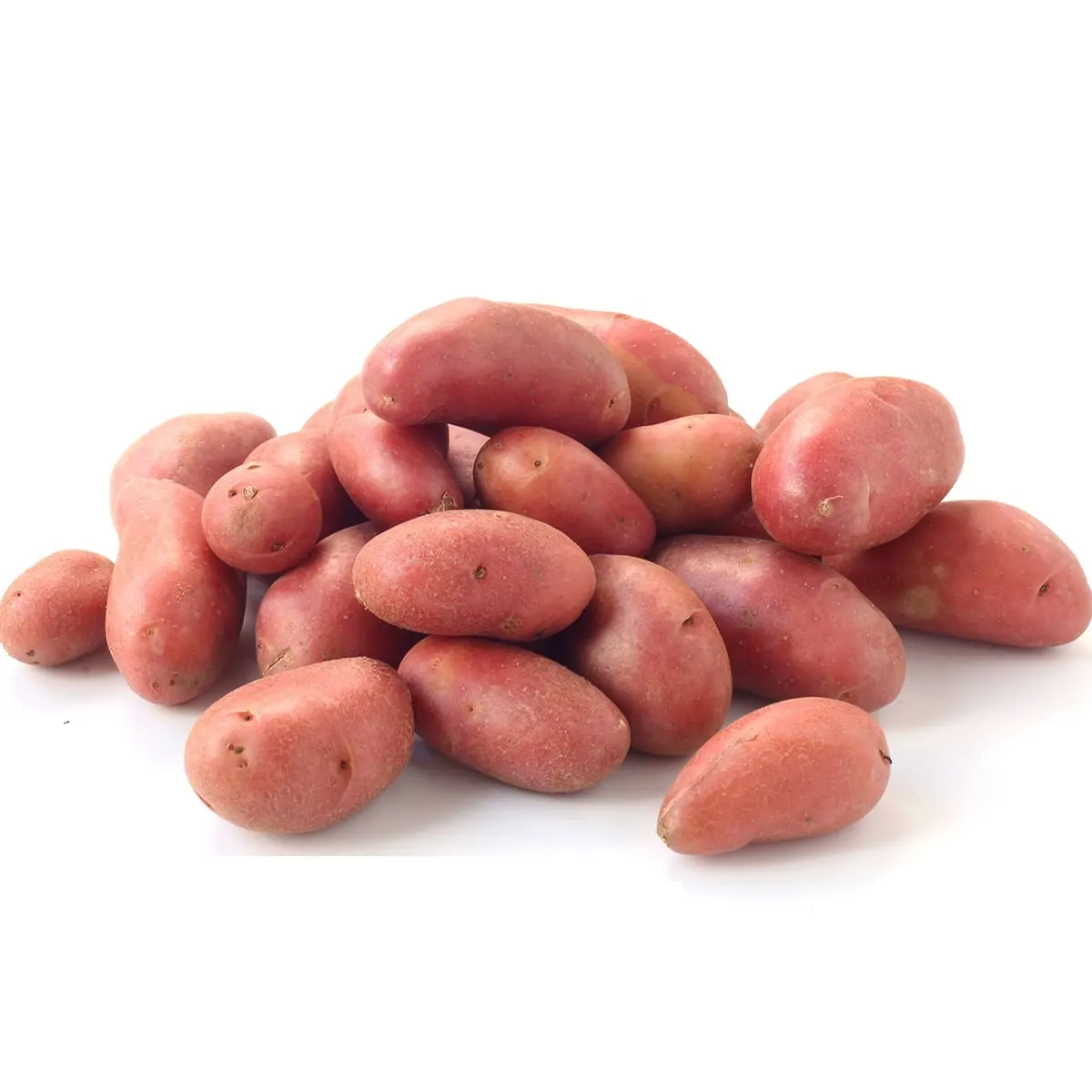 Pomme de terre rouge lavée 1Kg - FILIERE M