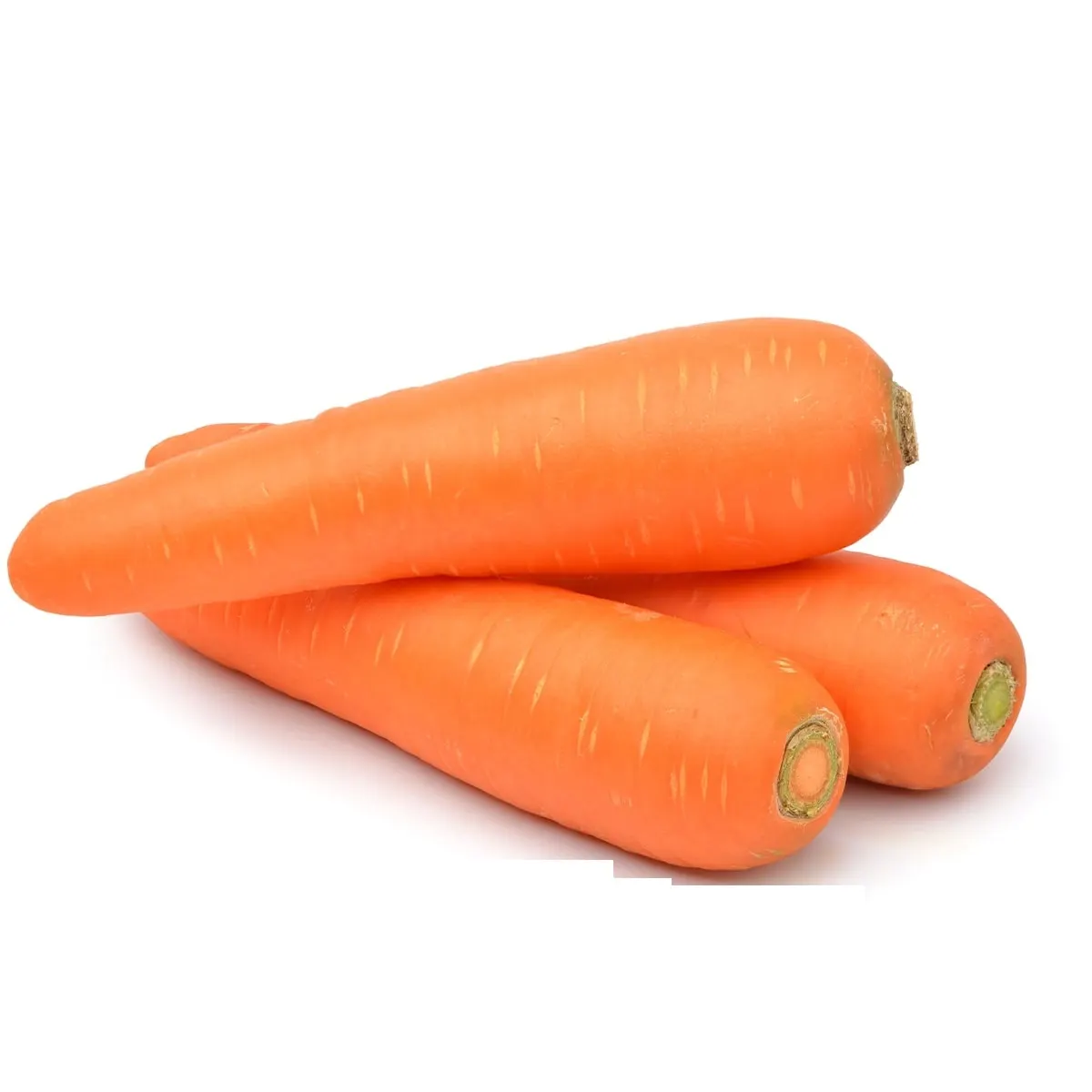 Carotte 1Kg - FILIERE M