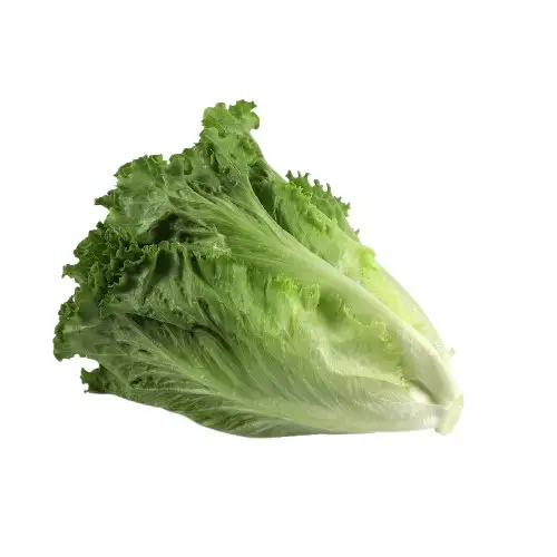 Laitue romaine à la pièce -FILIERE M