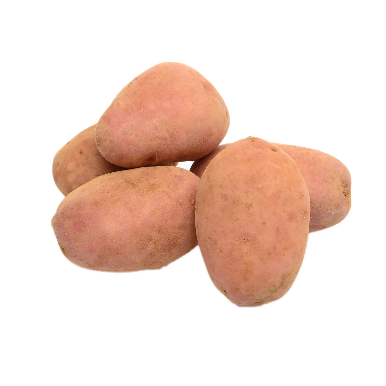 Pomme de terre frite 1Kg - FILIERE M - vue 4