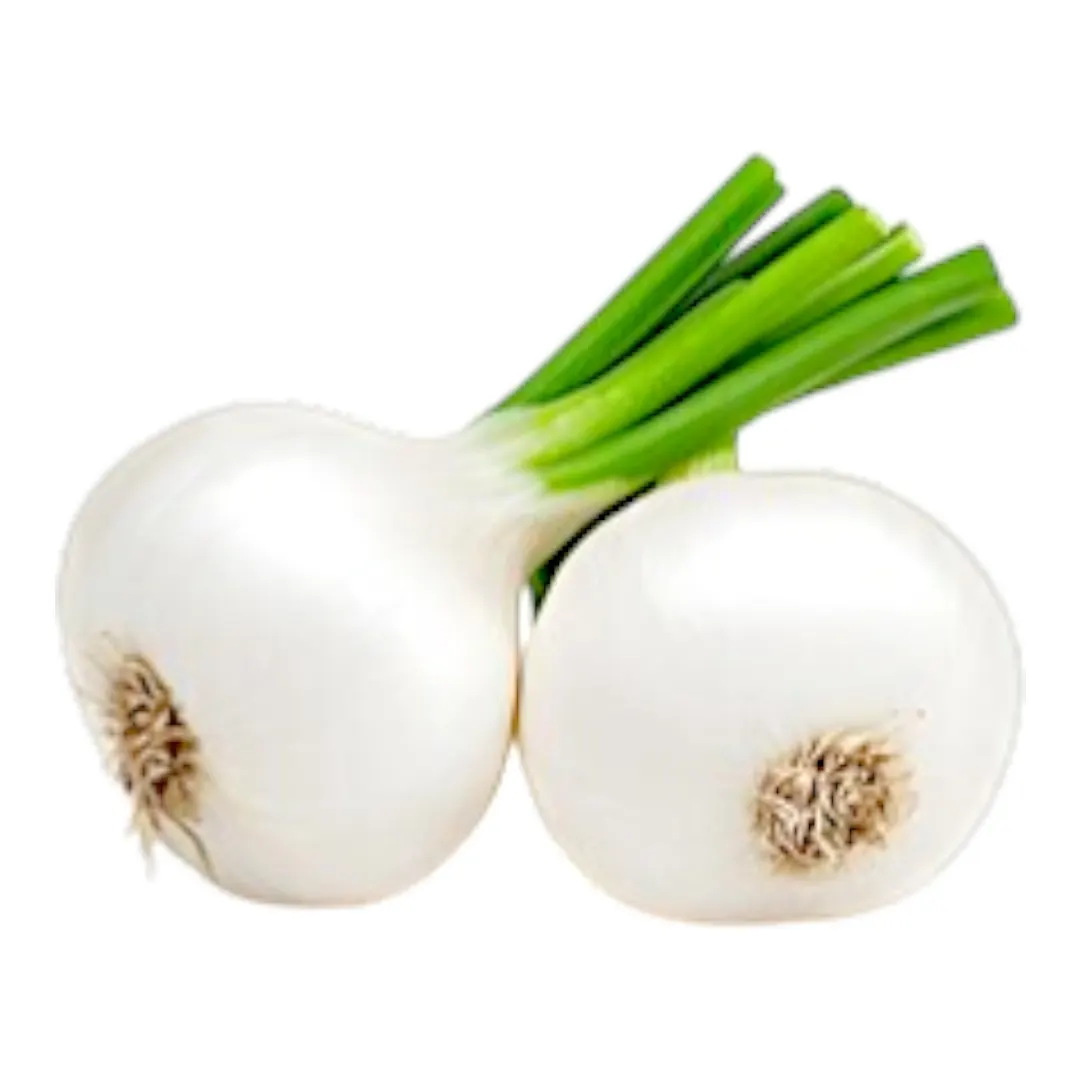 Oignons frais blanc 1Kg - vue 3