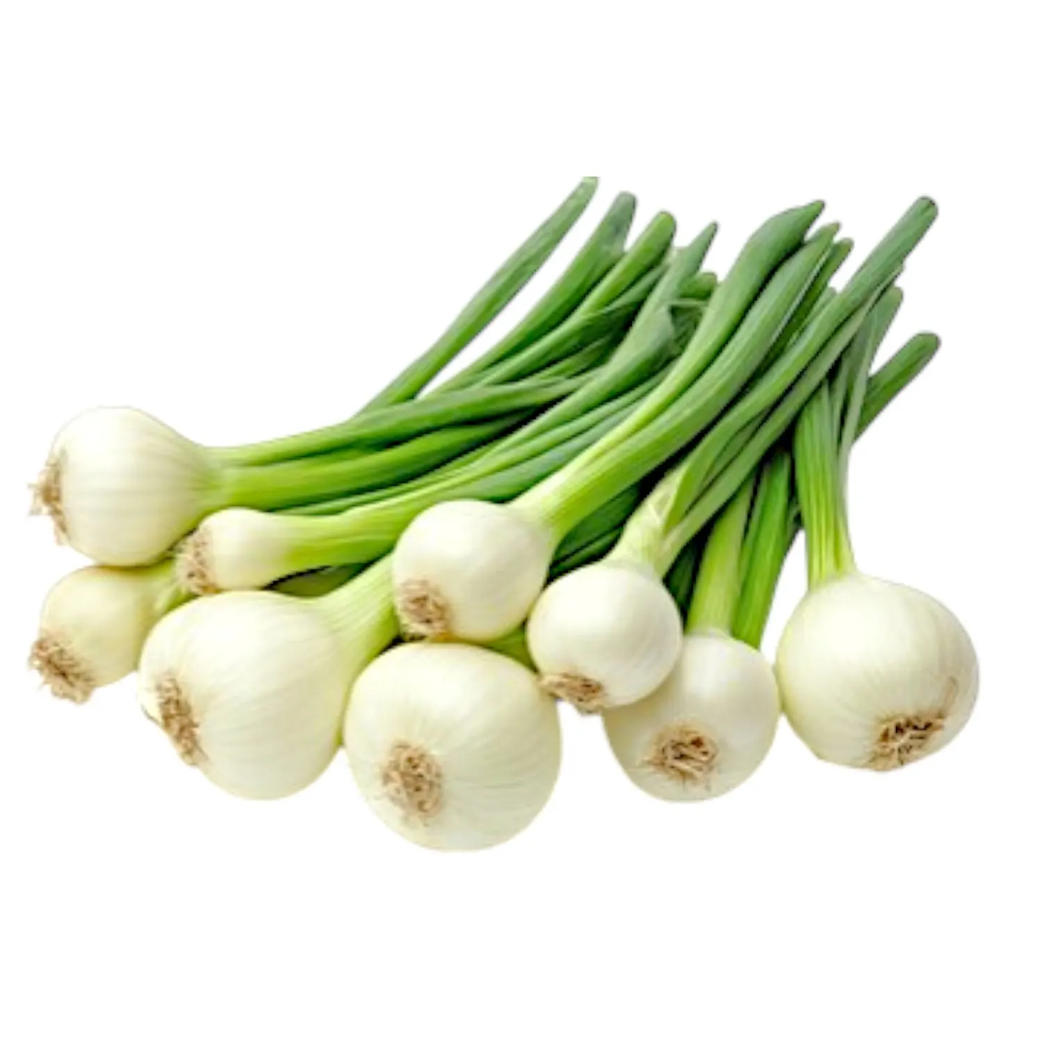 Oignons frais blanc 1Kg - vue 4