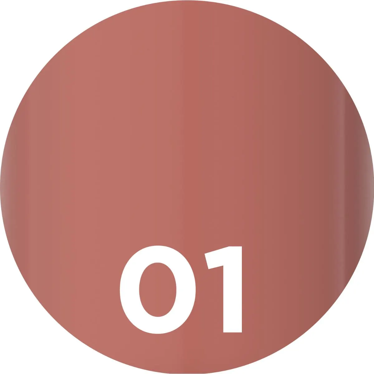 Gloss lèvres vinyle Choco Glmr N°01 4,5 ml - EVELINE - vue 3