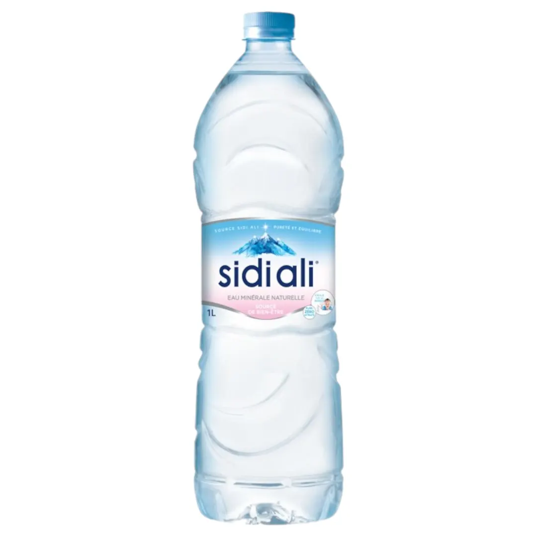 Sidi Ali Eau minérale 1L