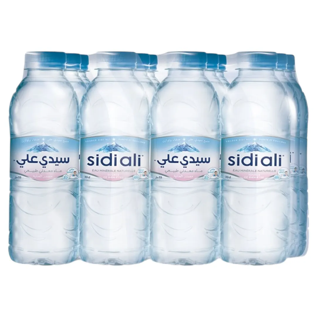 Sidi Ali Eau minérale 12x33cl 