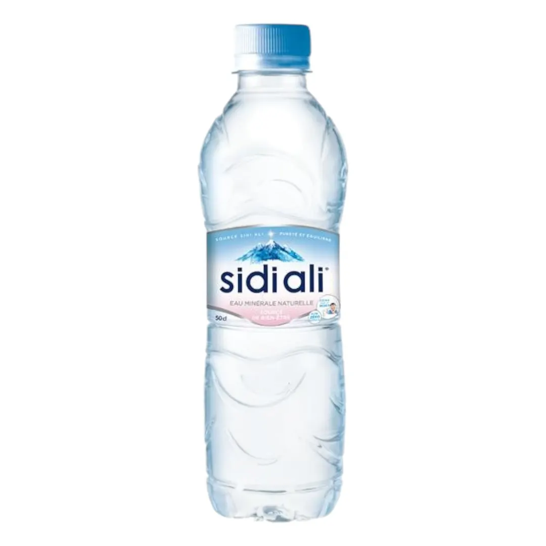 Sidi Ali Eau minérale 50cl 
