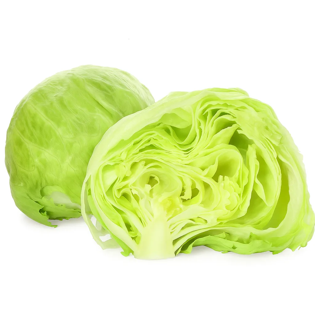 Laitue iceberg, la pièce - FILIERE M