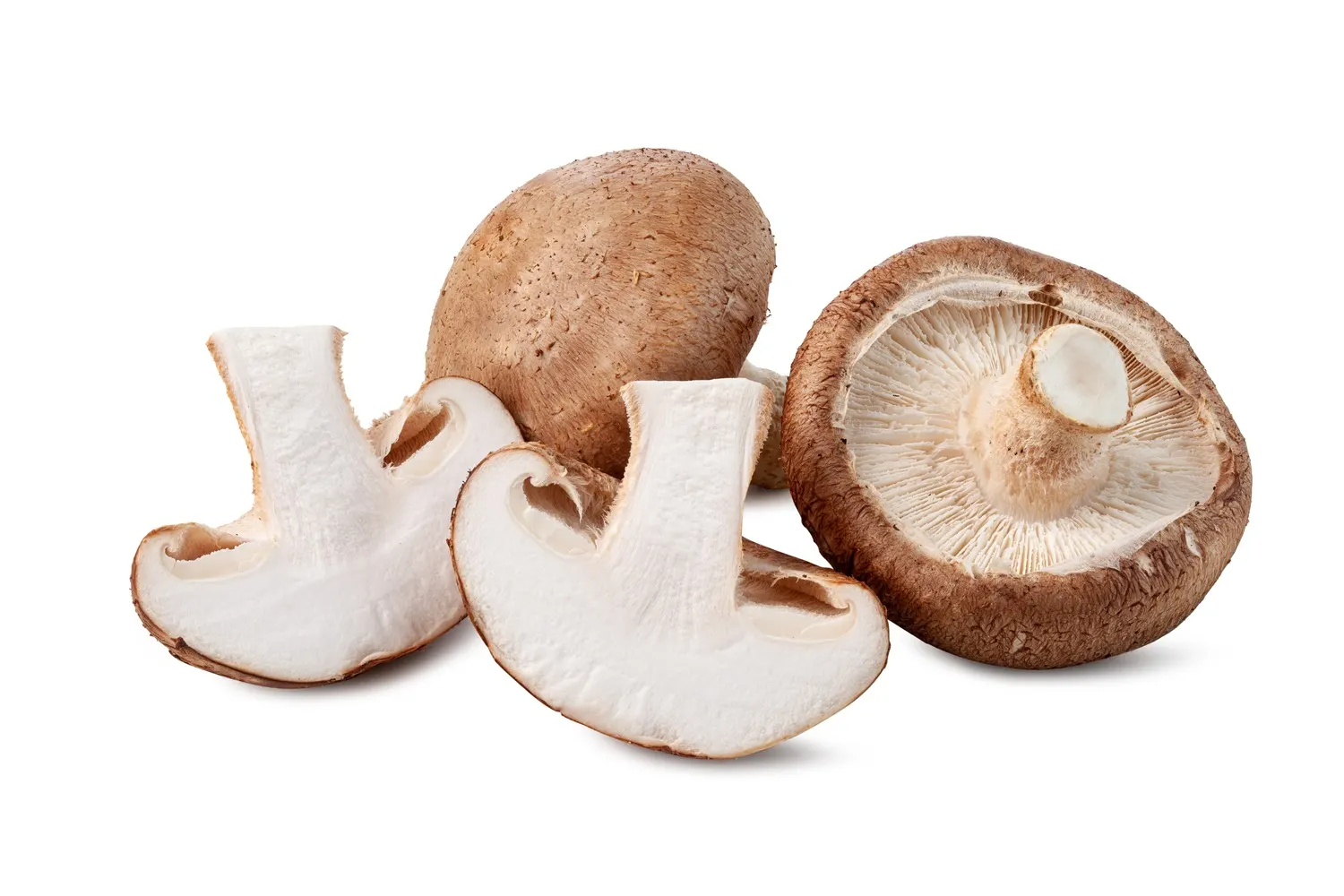 Shiitake 100g