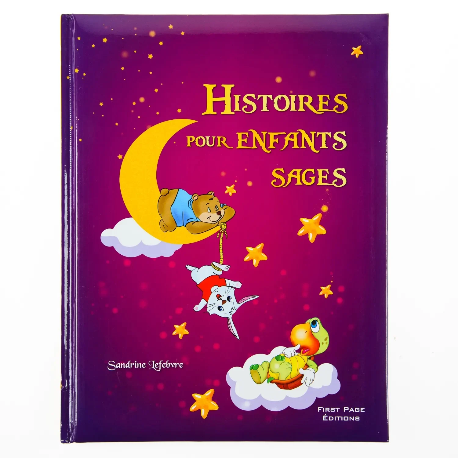 Histoires Pour Enfants Sages (Album)