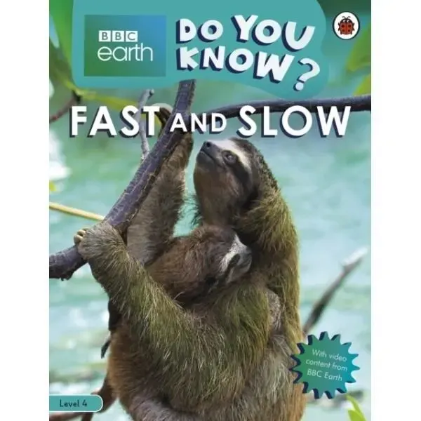 Fast And Slow - Level 4