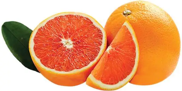 Orange cara cara 1Kg - FILIERE M - vue 2