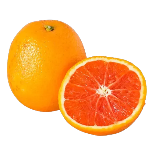Orange cara cara 1Kg - FILIERE M - vue 3