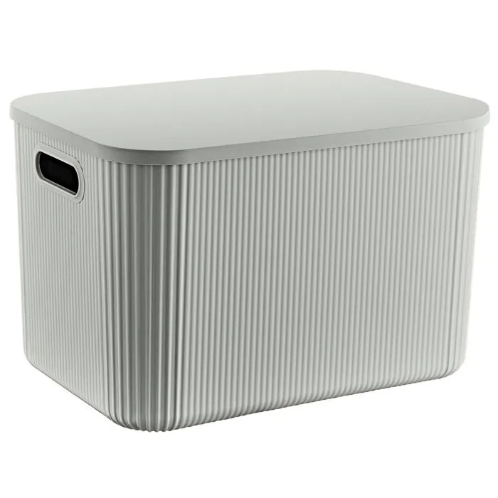 Boite de rangement avec couvercle pure 21L