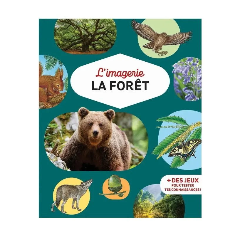 L'imagerie de la forêt - ÉMILE BEAUMONT