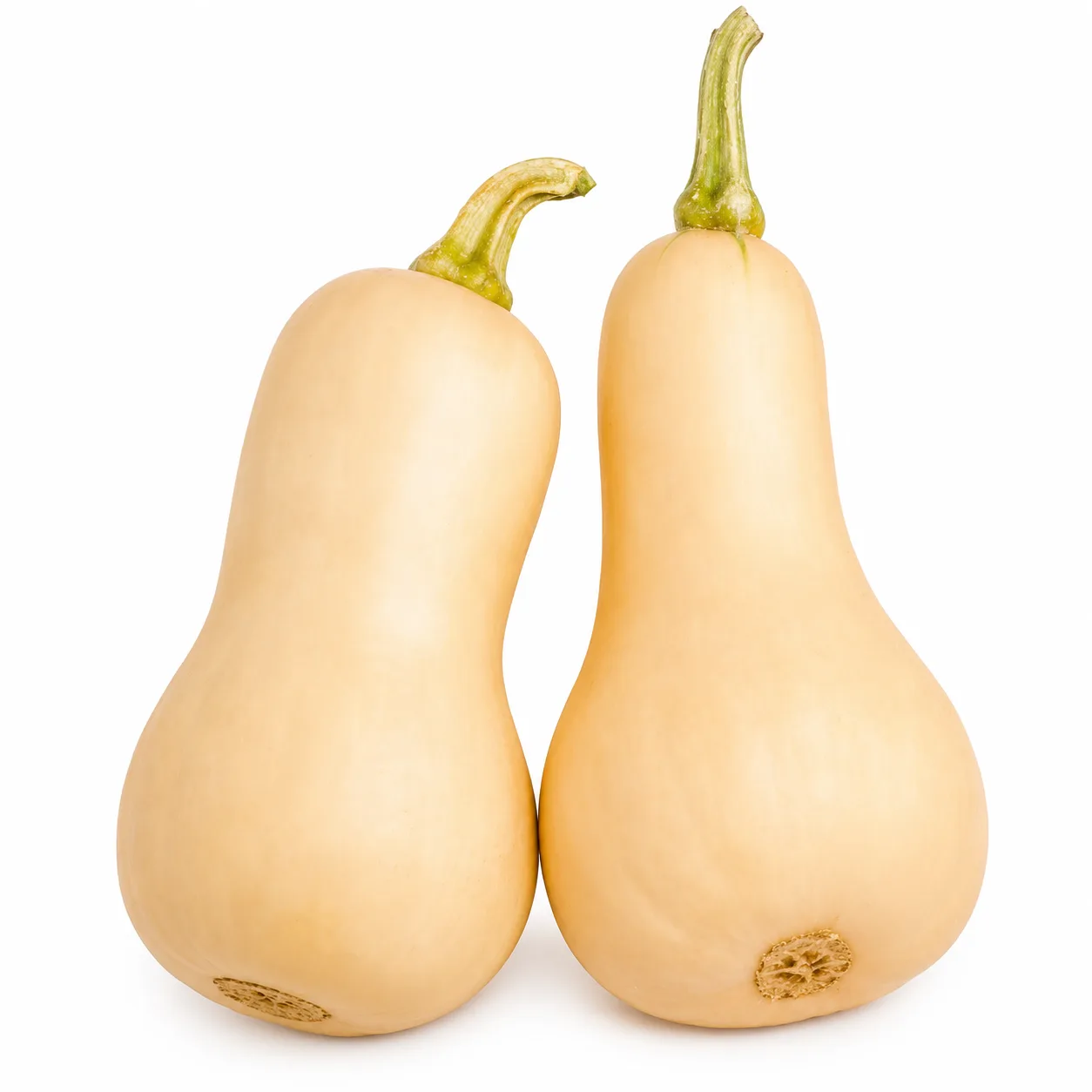 Courge butternut environ 1Kg