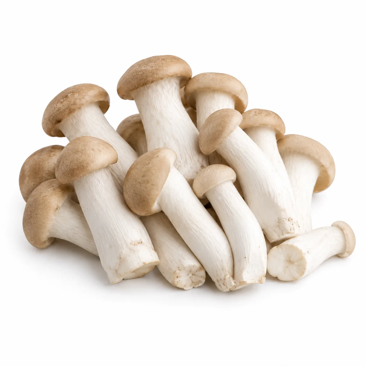 Champignon pied moutton 100g