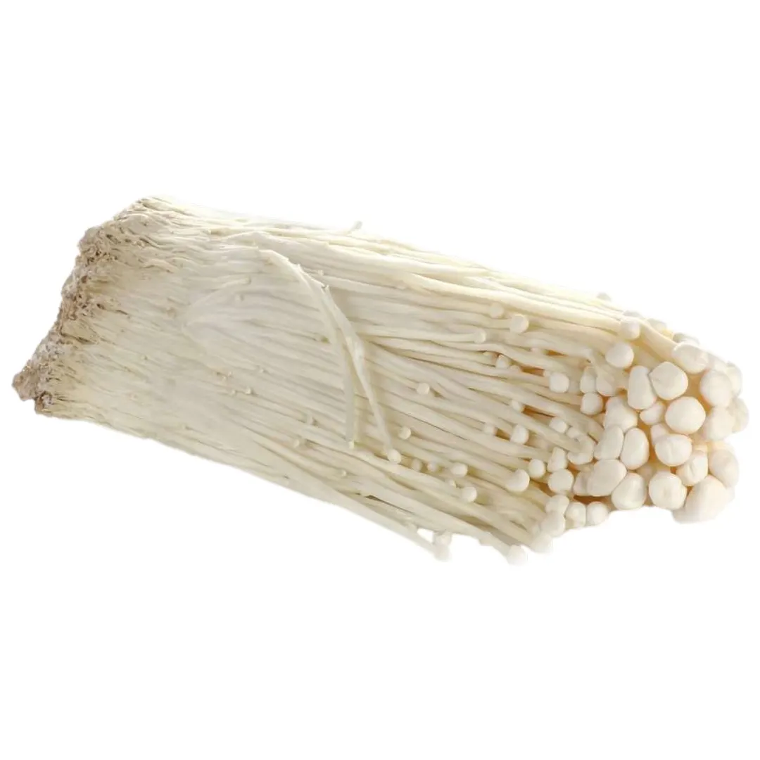 Champignon koren 100g