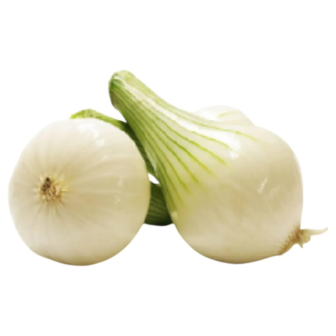 Oignon frais blanc 1kg - FILIERE M