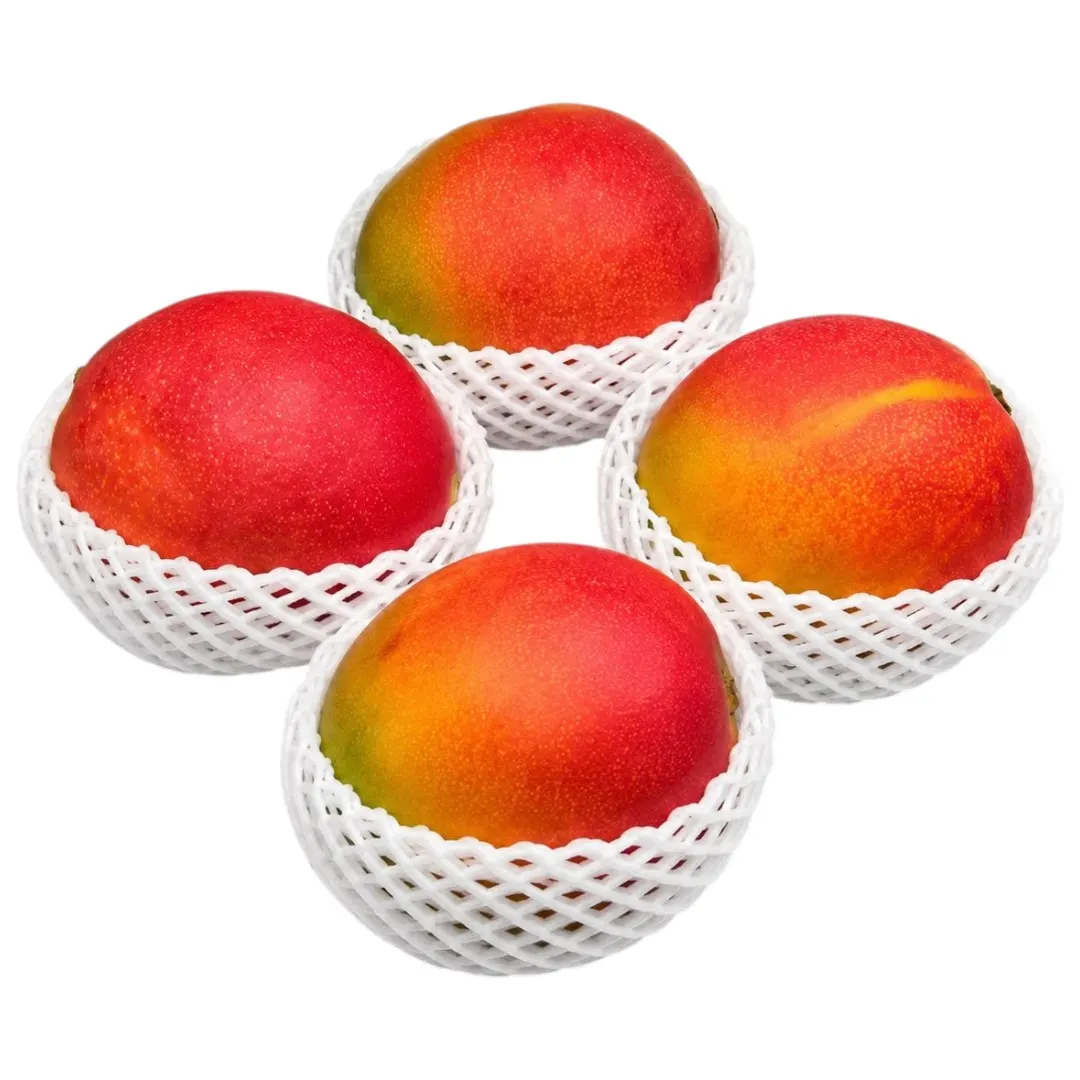 Mangue avion 500g
