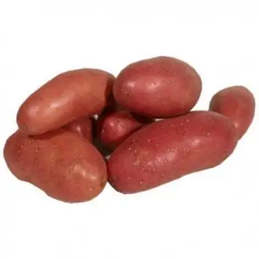 Pomme de terre frite rouge 2Kg - FILIERE M