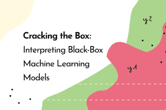 Whitepaper: interpreting black-box ML models