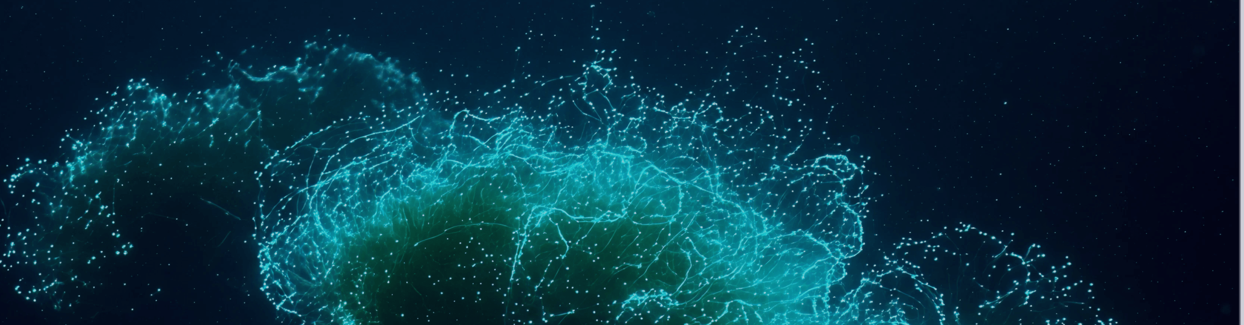 Differential Privacy for LLM Pipelines: Lessons from Anthropic's Clio