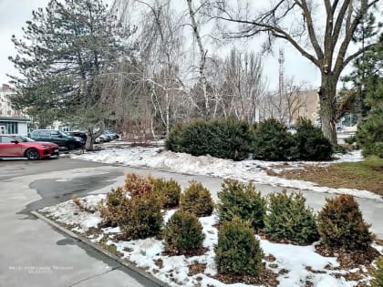 Погода в Волгодонске на 5-7 марта — вполне весенняя
