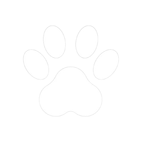 https://res.cloudinary.com/dcpjahzth/image/upload/v1728311680/ecoater-cms/file_cw6s3o.png